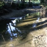 06 El caso del río Ter Exceso de purines y falta de caudal. Foto: Arxiu GDT